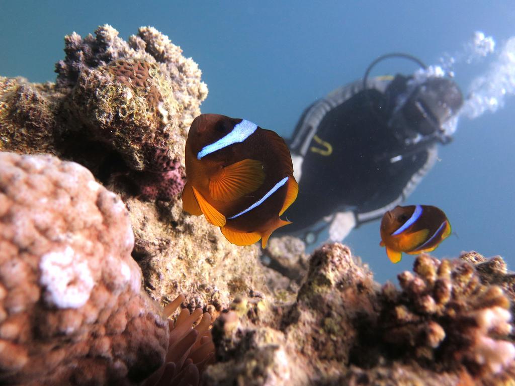 Bait Alaqaba Resort Aqaba Ngoại thất bức ảnh
